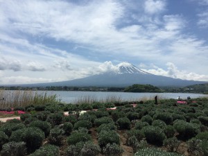 チェックアウト後は、 キャンプ場から見えなかった富士山を河口湖から・・・