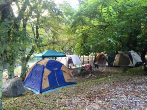 camp (5)