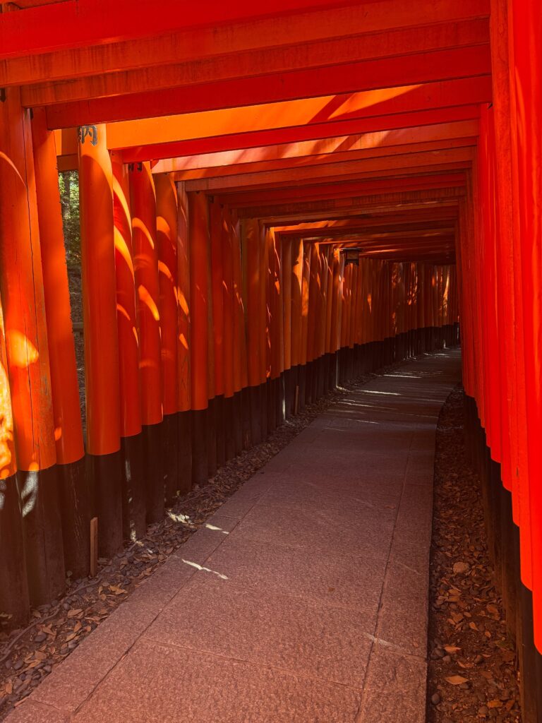 3年連続京都へ